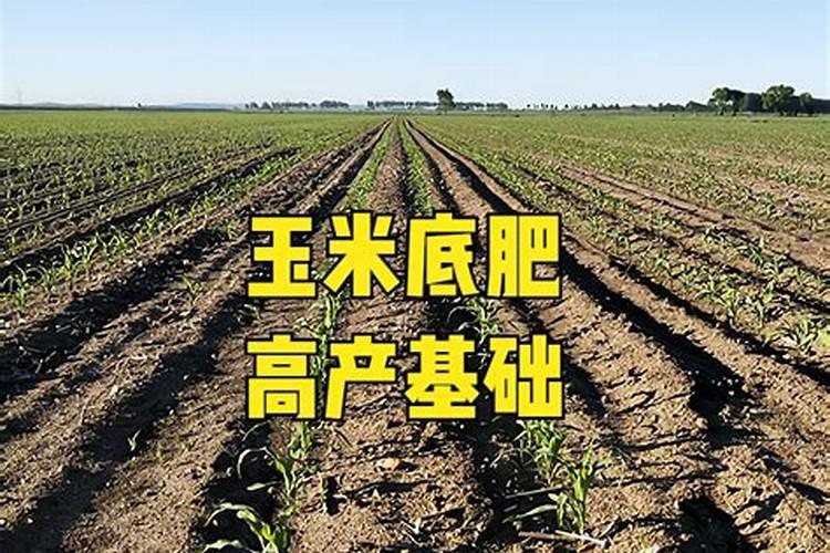 高钾肥当底肥好吗为什么？