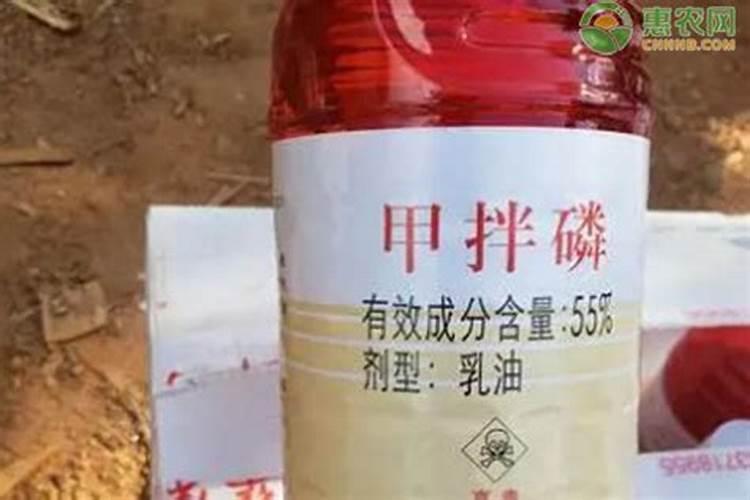 守护果园之花：有机磷农药在开花果树上的慎用