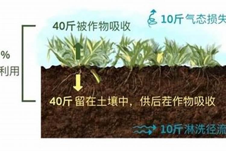 化学肥料对地有好处有坏处？