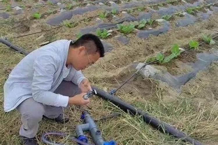 巧用技术解决施肥问题