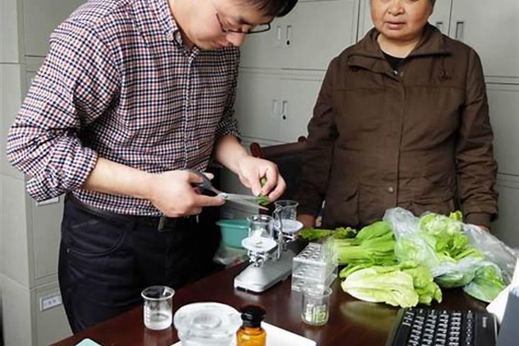 守护舌尖安全：如何检测农产品中的农药残留？