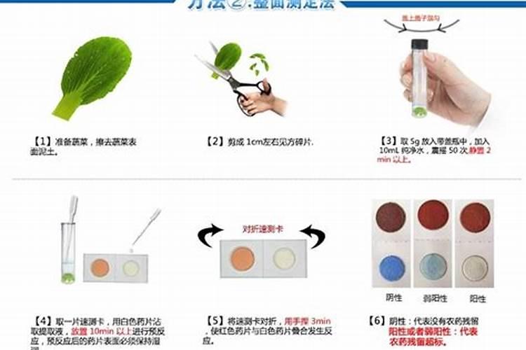 农药残留检测方法