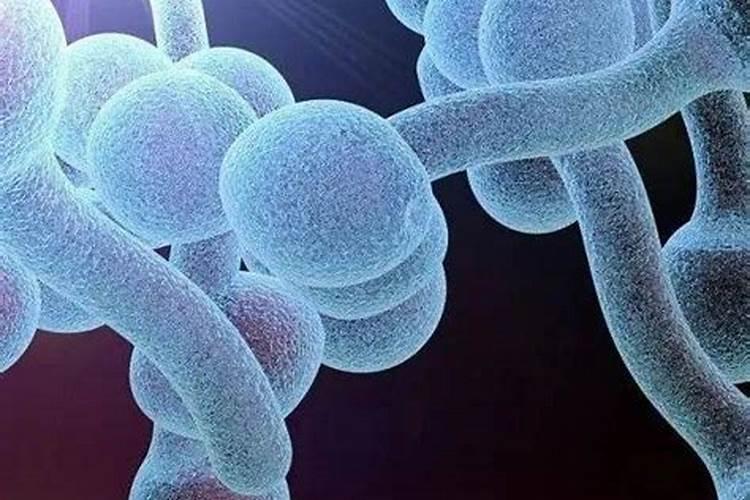 警惕！日常生活中的隐形杀手：敌百虫药污染的食品