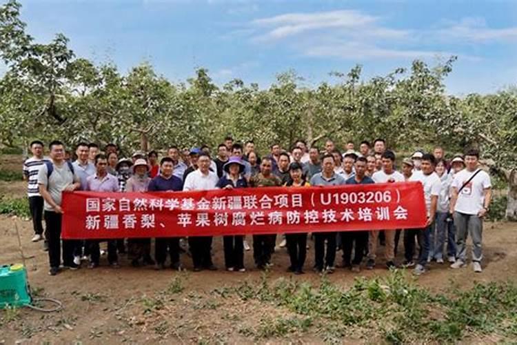 苹果树腐烂病绿色防控技术规程