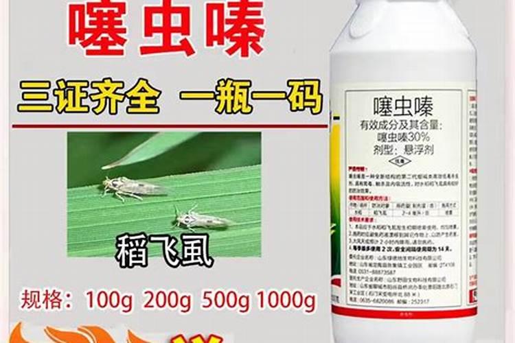 守护稻穗：稻飞虱的克星——常用杀虫剂解析