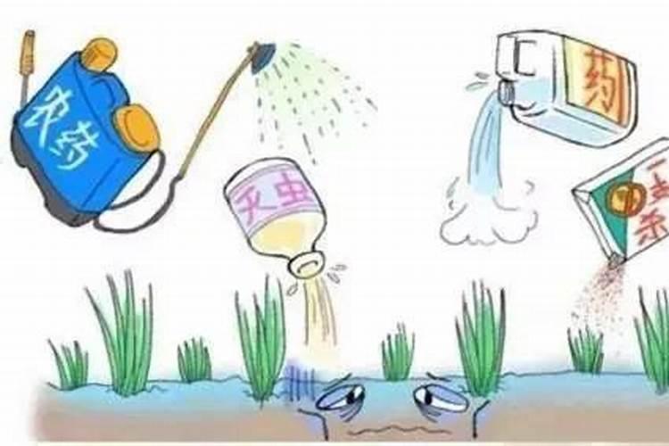 如何安全科学使用农药问题