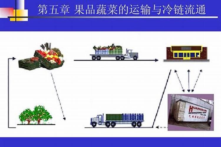 食品贮存运输过程中的污染途径可能包括