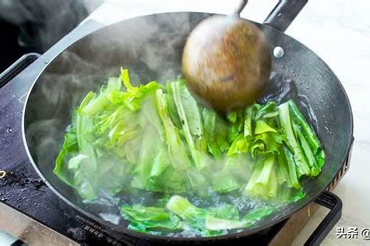 冬季棚室油麦菜烂根怎么办