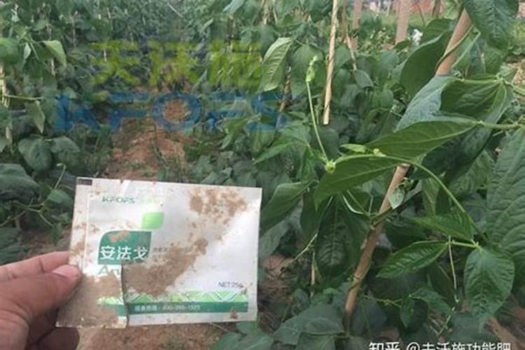 用错除草剂的解救方法？