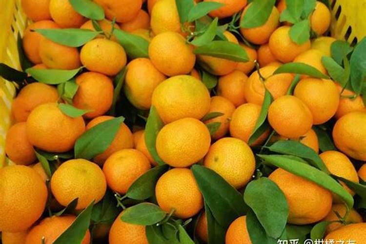 沙糖桔已结果,可以打除草剂吗