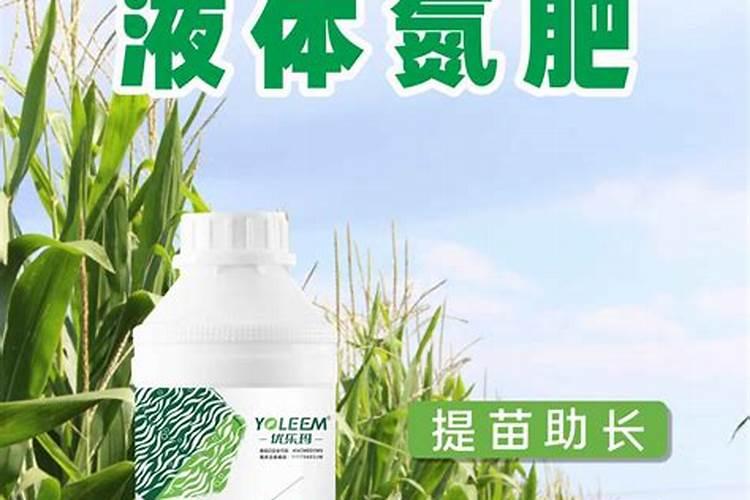 揭秘氮肥的神秘时限：有效期究竟有多长？
