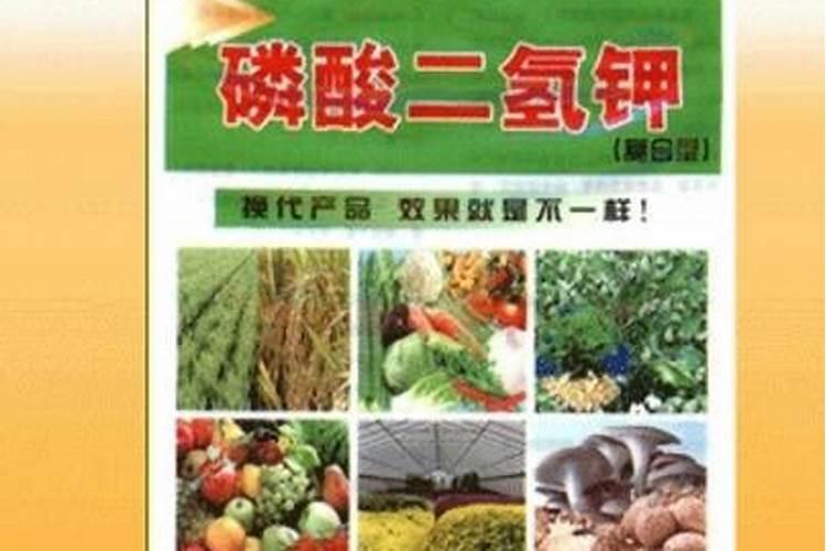 叶面肥有几种？叶面肥该如何喷施？