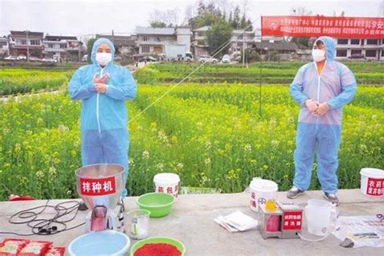 药剂拌种技术的奥秘与实践要点