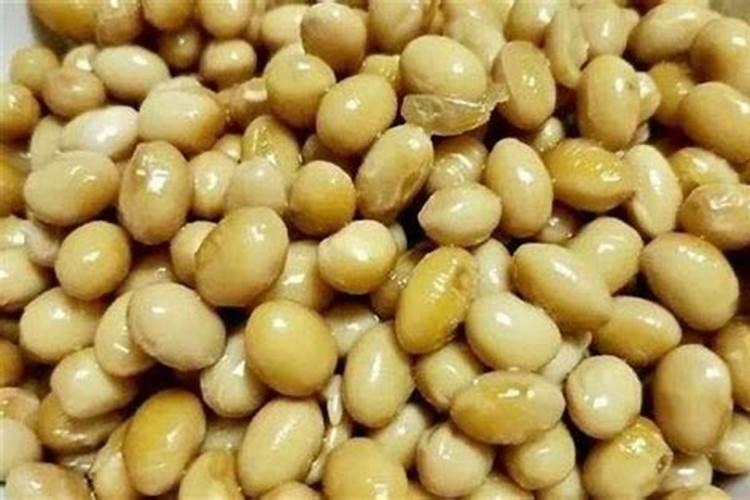 绿意盎然：用黄豆发酵与淘米水打造长寿花的营养源泉