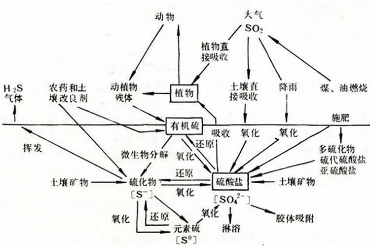 中国农业与环境中的硫目录