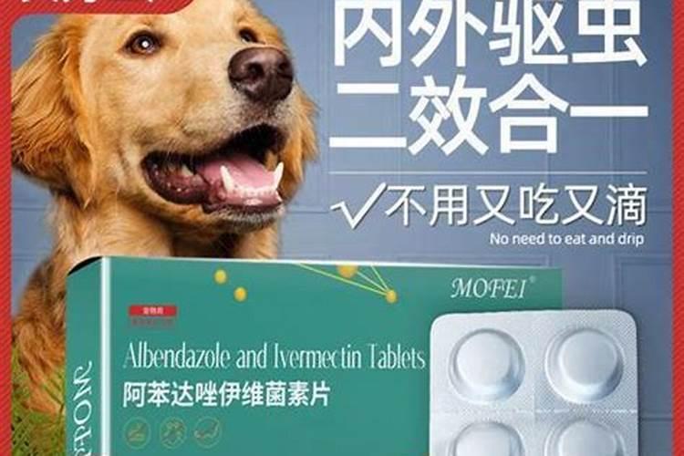 喂狗狗驱虫药应注意什么？