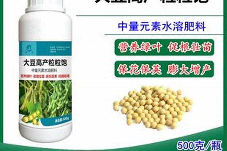 大豆增产的秘诀：掌握叶面肥技术，助力丰收在望