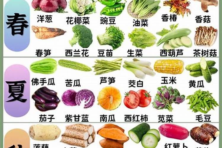秋冬低温期棚菜如何用药？该注意哪些？