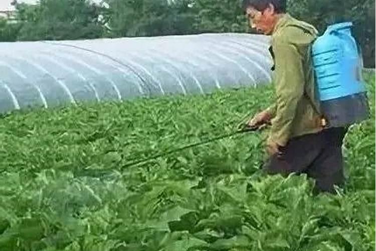 保护性杀菌剂如何使用