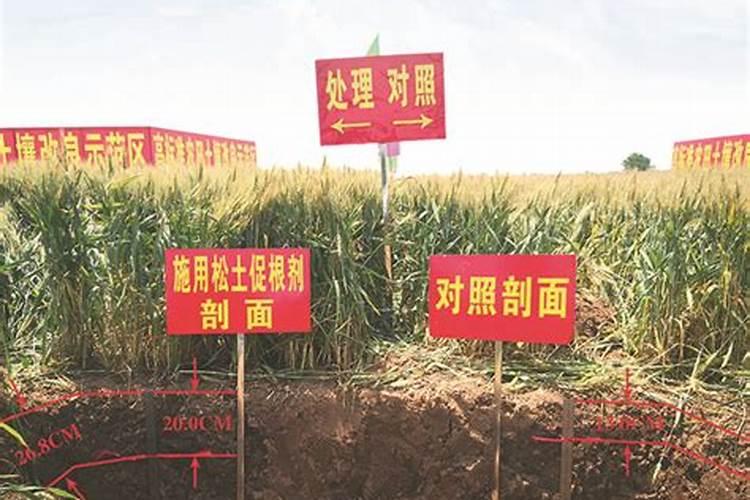 守护沃土之心：应对保护地土壤障碍与施肥技术策略