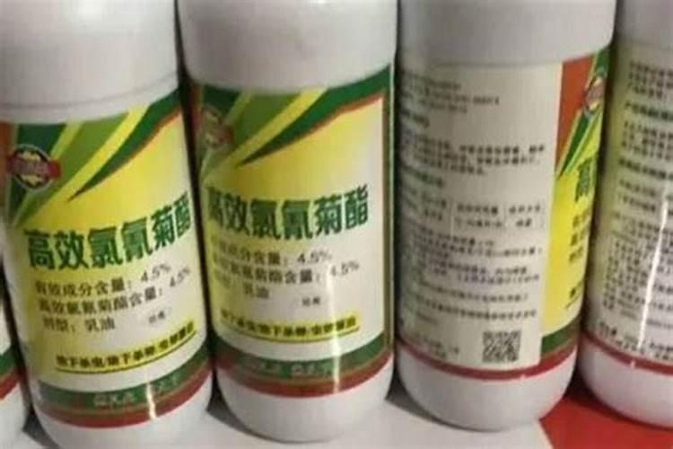 农药剂型名称是什么意思