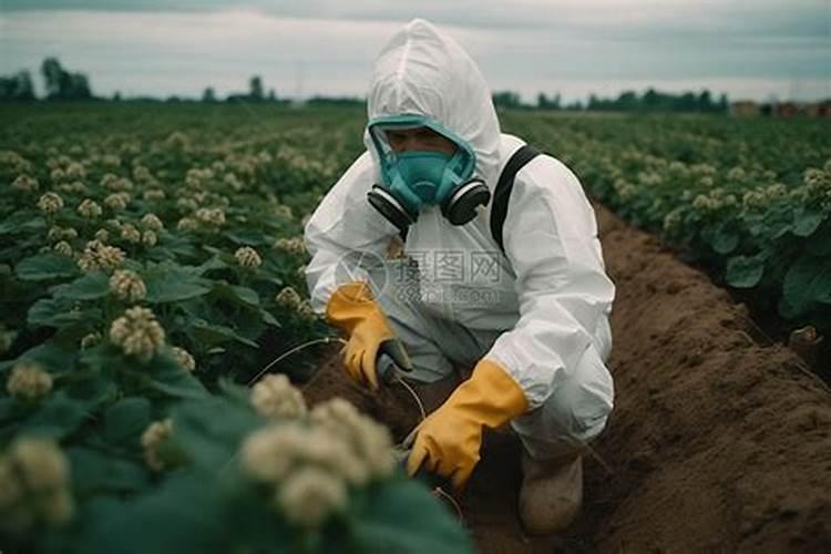 冬春交替时节：正确施用农药保护蔬菜生长