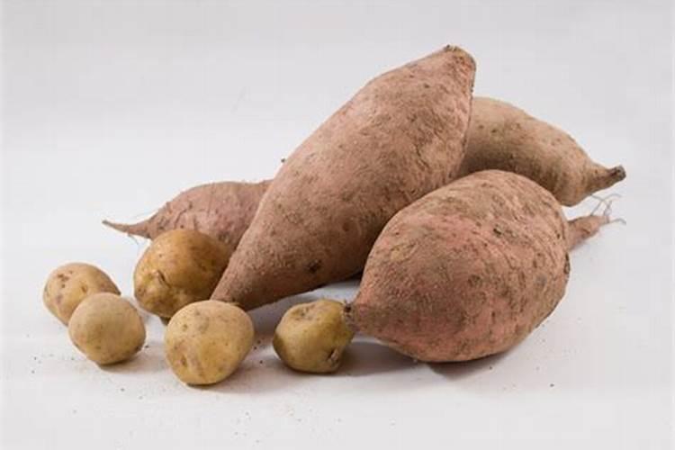 白薯：自然界的营养宝库及其多样食用方法？