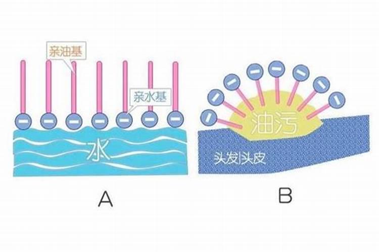 亲水基一致时,表面活性剂的刺激性、水溶性、起泡能力与亲油基碳链长度。