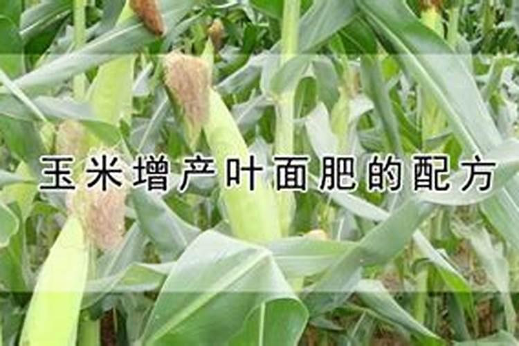 玉米叶面肥配方