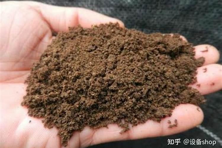 鸡粪肥料的发酵之旅：从废物到宝藏