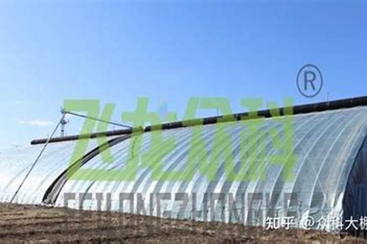 温室怎样合理使用基肥？