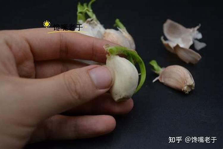 大蒜不出蒜苔是啥原因？