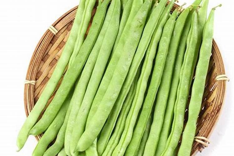 迎战严寒：高效防治虫害的冬季策略全解析