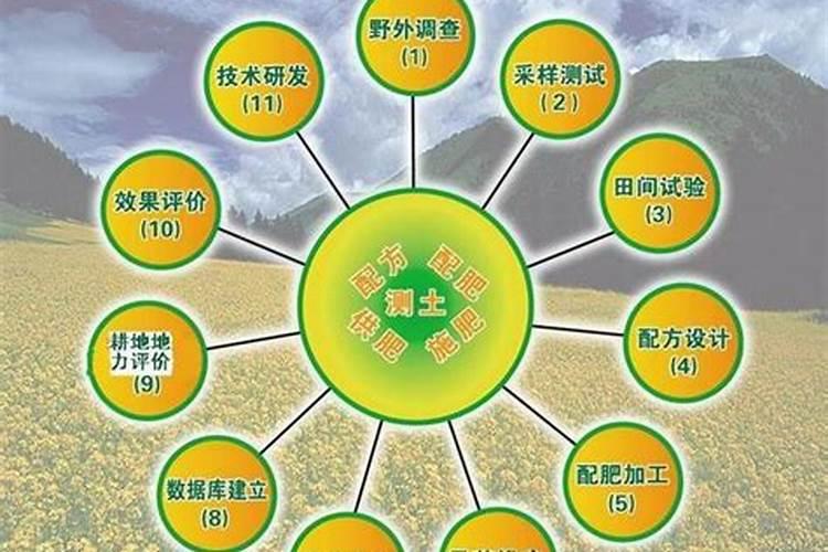 掌握棉花增产秘诀：测土配方施肥技术详解
