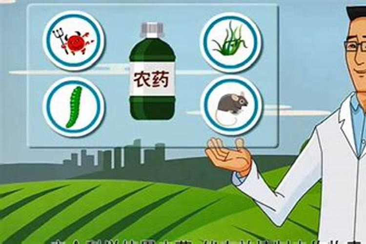 早稻管理：农药施用的科学之道