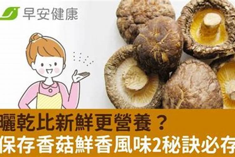 香菇的储存之道：保持风味与营养的秘诀