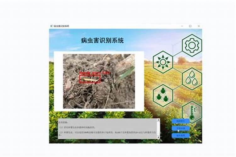 揭秘：小麦种植中的病虫害及其防治策略