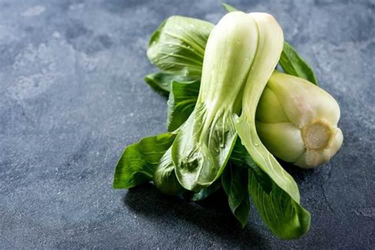 战胜芸豆菌核病：有效防治策略全解析