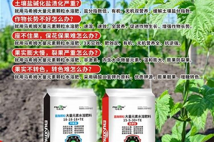 寿光有个威力马<a href=