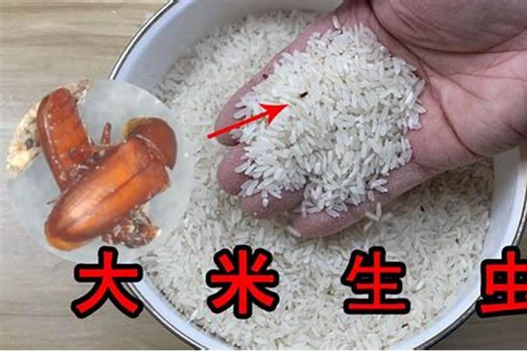 大米防止生虫的七个方法