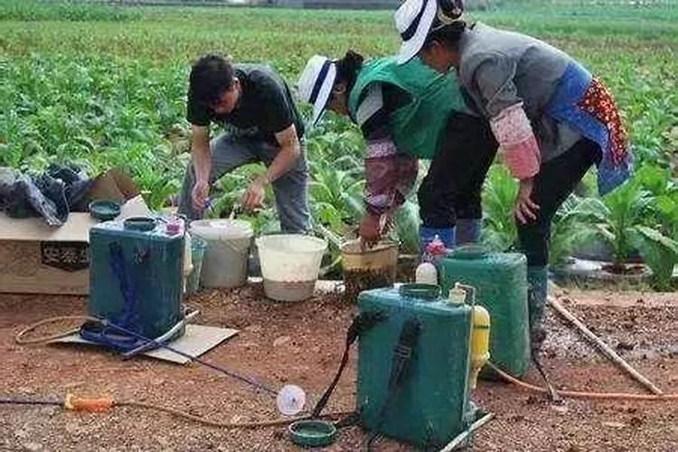 一种浓度为35%的新农药,如稀释到浓度为1.75%时,治蚜虫最有效。用多少。