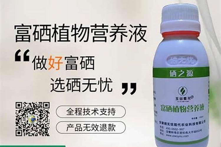 蔬菜富硒肥厂家有哪些品牌好2025荷兰菊？