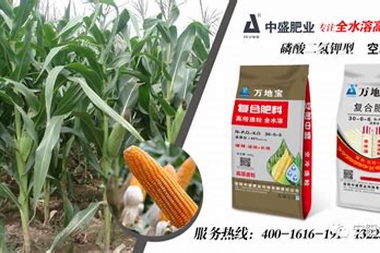 玉米复合肥料