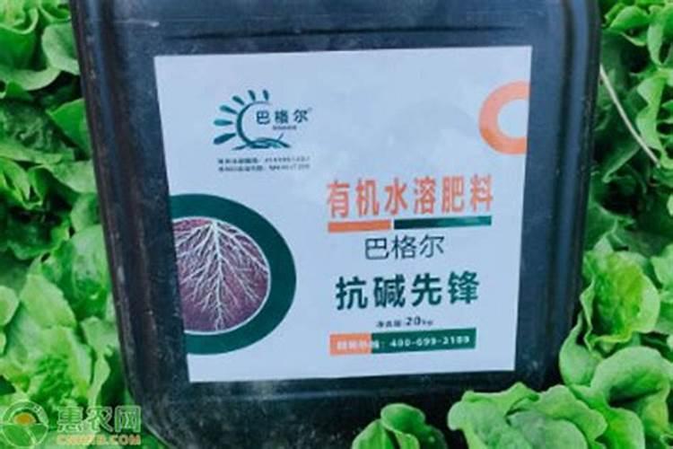 当归有机水溶肥价格多少2025？