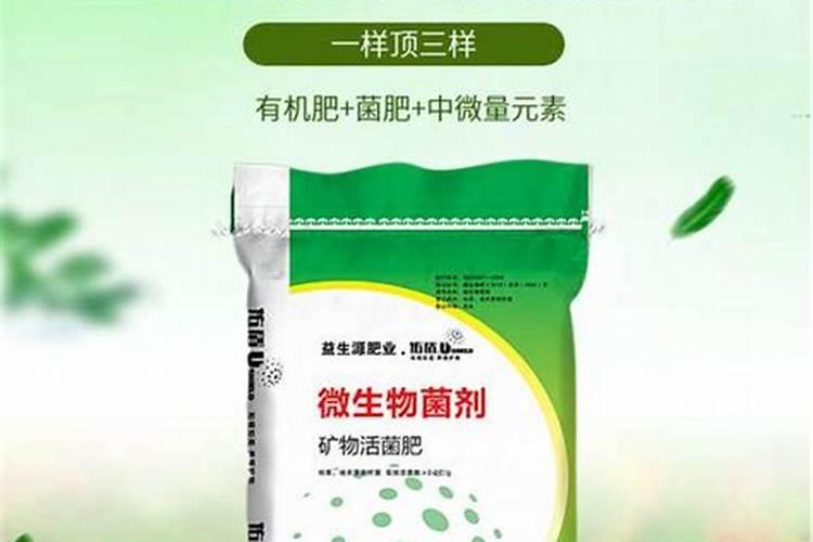 六安微生物肥料是什么肥料？