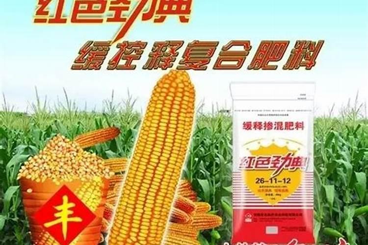 缓释肥多久施一次肥料？