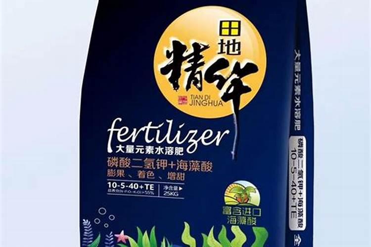 土豆氨基酸海藻肥有什么作用？