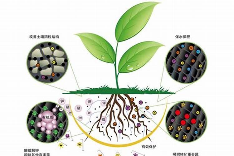 冷水江微生物肥料的作用原理是什么？