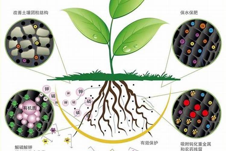 微生物菌肥作用和使用方法