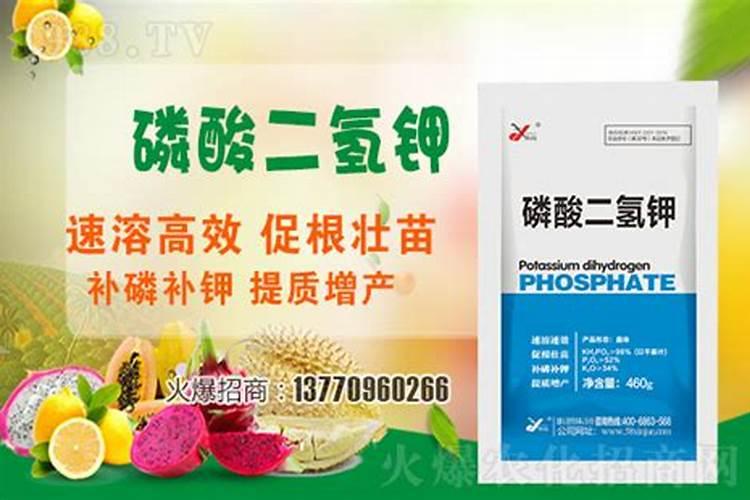 上饶钙镁磷肥对果树的作用与功效2025